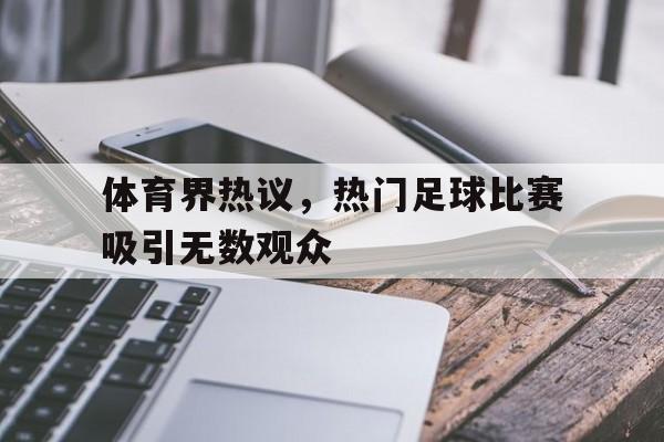 体育界热议，热门足球比赛吸引无数观众